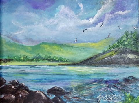 Flight over Emerald Cove