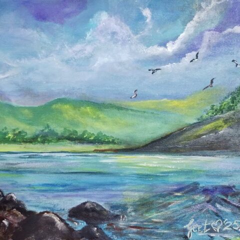 Flight over Emerald Cove